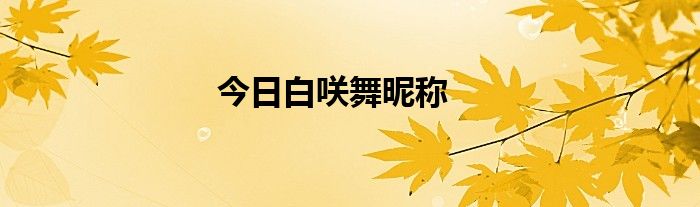 今日白咲舞昵称