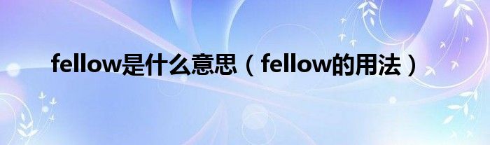 fellow是什么意思（fellow的用法）