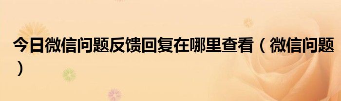 今日微信问题反馈回复在哪里查看（微信问题）