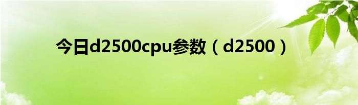 今日d2500cpu参数（d2500）
