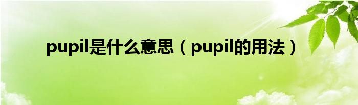 pupil是什么意思（pupil的用法）