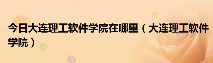 今日大连理工软件学院在哪里（大连理工软件学院）