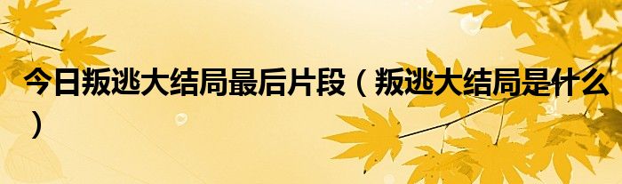 今日叛逃大结局最后片段（叛逃大结局是什么）