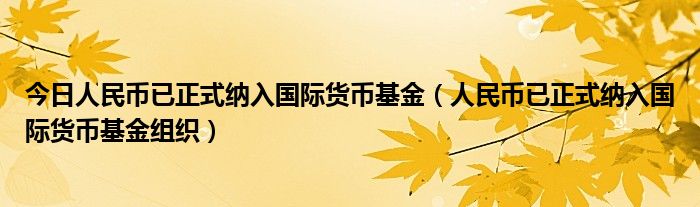 今日人民币已正式纳入国际货币基金（人民币已正式纳入国际货币基金组织）