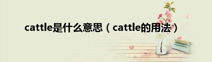 cattle是什么意思（cattle的用法）