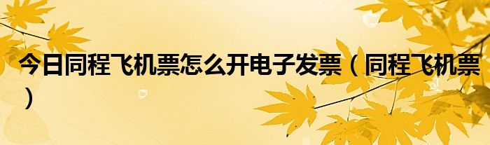 今日同程飞机票怎么开电子发票（同程飞机票）