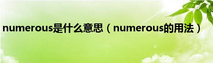 numerous是什么意思（numerous的用法）