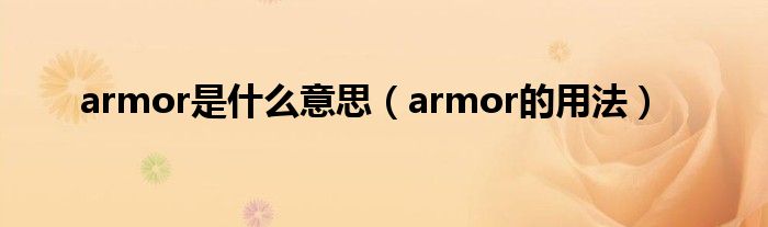 armor是什么意思（armor的用法）