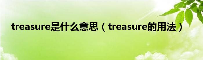 treasure是什么意思（treasure的用法）