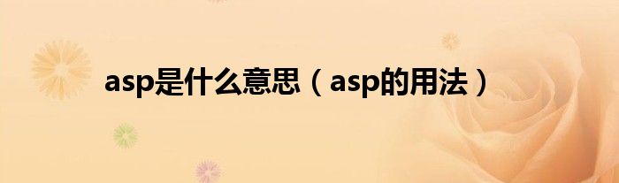 asp是什么意思（asp的用法）