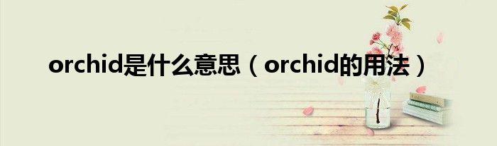 orchid是什么意思（orchid的用法）