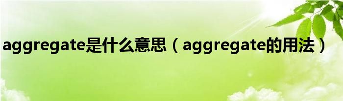aggregate是什么意思（aggregate的用法）