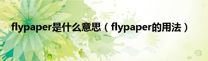 flypaper是什么意思（flypaper的用法）