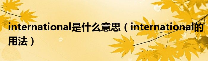 international是什么意思（international的用法）
