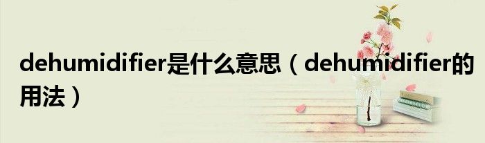 dehumidifier是什么意思（dehumidifier的用法）