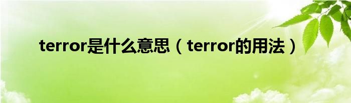 terror是什么意思（terror的用法）