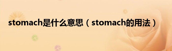 stomach是什么意思（stomach的用法）