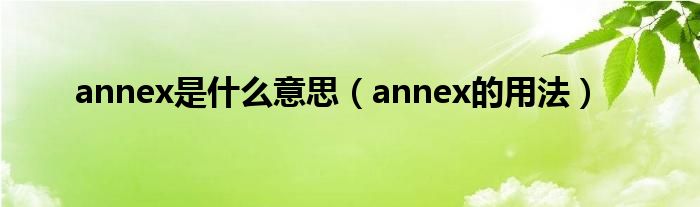 annex是什么意思（annex的用法）