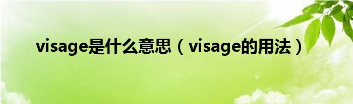 visage是什么意思（visage的用法）