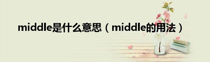 middle是什么意思（middle的用法）