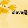 slave是什么意思（slave的用法）