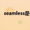 seamless是什么意思（seamless的用法）
