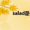 salad是什么意思（salad的用法）