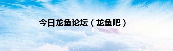 今日龙鱼论坛（龙鱼吧）