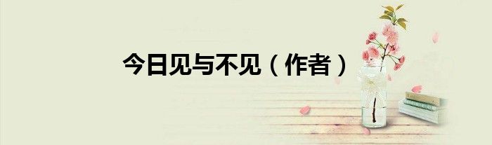 今日见与不见（作者）