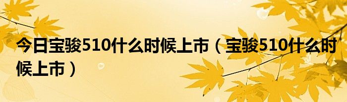 今日宝骏510什么时候上市（宝骏510什么时候上市）