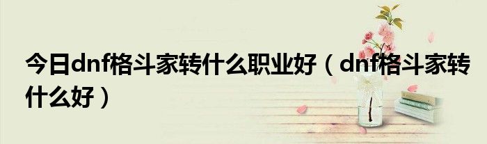 今日dnf格斗家转什么职业好（dnf格斗家转什么好）