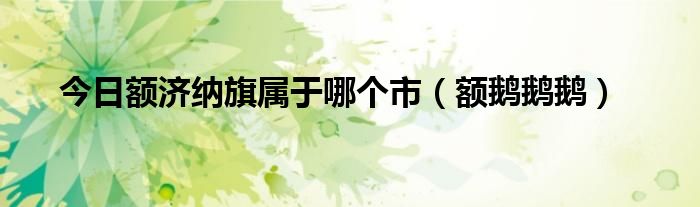今日额济纳旗属于哪个市（额鹅鹅鹅）