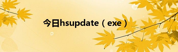 今日hsupdate（exe）