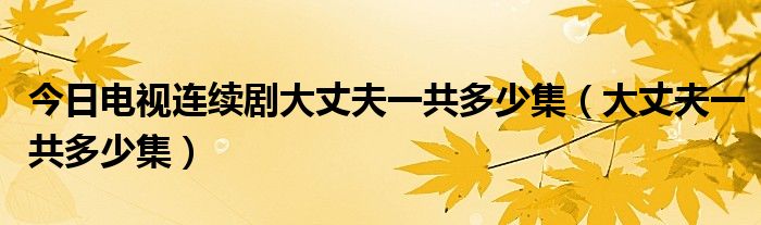今日电视连续剧大丈夫一共多少集（大丈夫一共多少集）