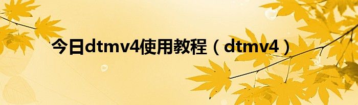 今日dtmv4使用教程（dtmv4）