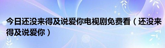 今日还没来得及说爱你电视剧免费看（还没来得及说爱你）