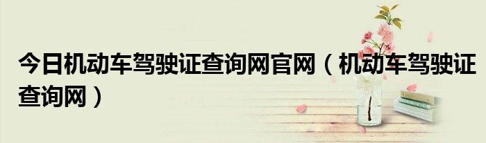 今日机动车驾驶证查询网官网（机动车驾驶证查询网）