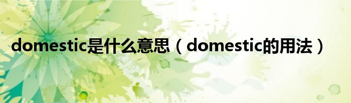 domestic是什么意思（domestic的用法）