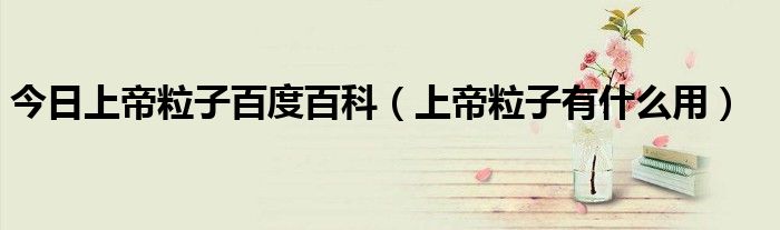 今日上帝粒子百度百科（上帝粒子有什么用）