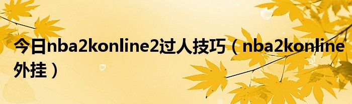 今日nba2konline2过人技巧（nba2konline外挂）