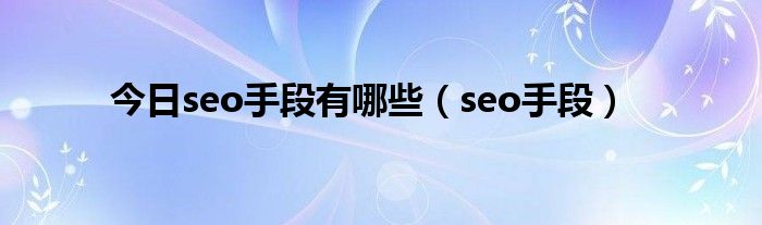 今日seo手段有哪些（seo手段）