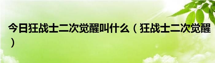 今日狂战士二次觉醒叫什么（狂战士二次觉醒）
