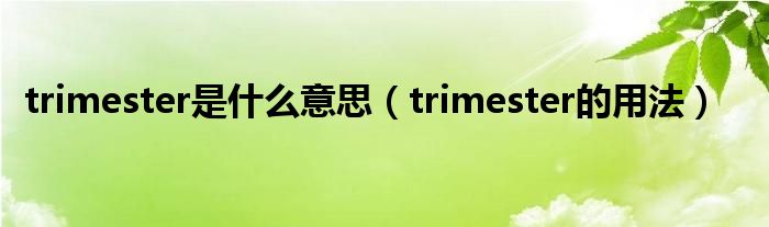 trimester是什么意思（trimester的用法）