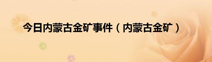 今日内蒙古金矿事件（内蒙古金矿）