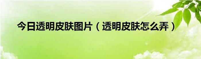 今日透明皮肤图片（透明皮肤怎么弄）