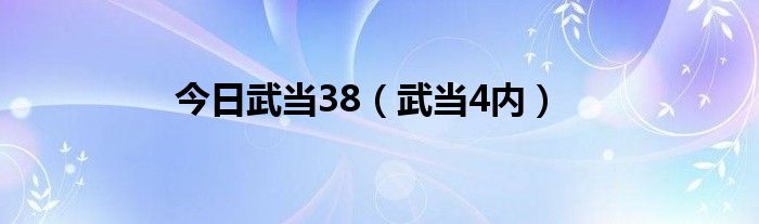 今日武当38（武当4内）