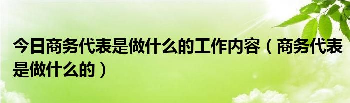 今日商务代表是做什么的工作内容（商务代表是做什么的）