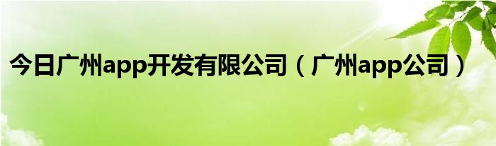 今日广州app开发有限公司（广州app公司）