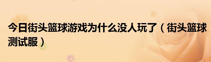 今日街头篮球游戏为什么没人玩了（街头篮球测试服）