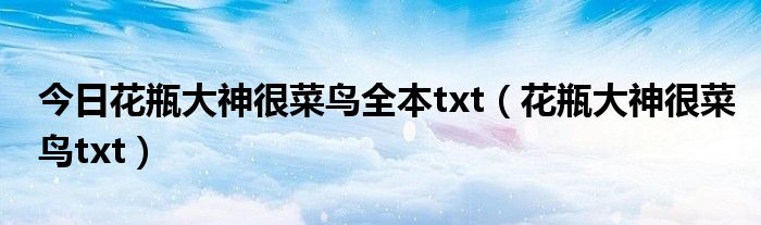 今日花瓶大神很菜鸟全本txt（花瓶大神很菜鸟txt）